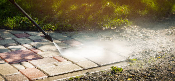 Best Dumpster Area Cleaning  in Gordon Heights, NY